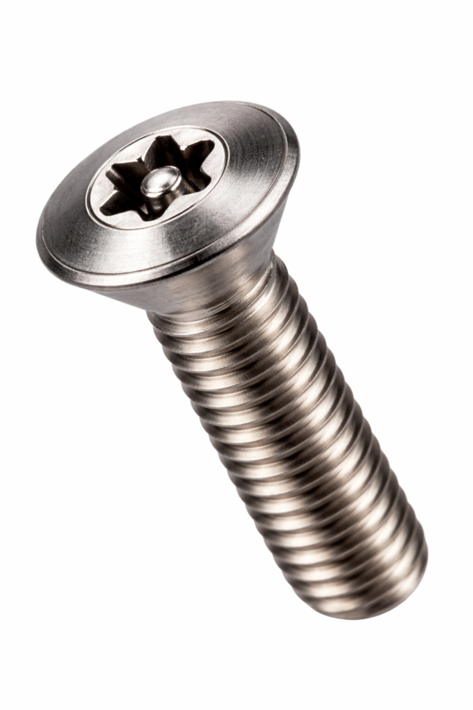 security screw