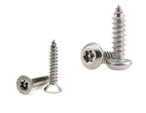 Pin-Torx Self Tapping Security Screw