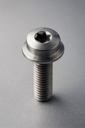 flange utton head torx screw