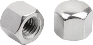 Hex Cap Nut